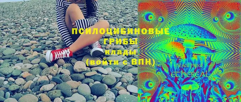 Галлюциногенные грибы Magic Shrooms  Чусовой 